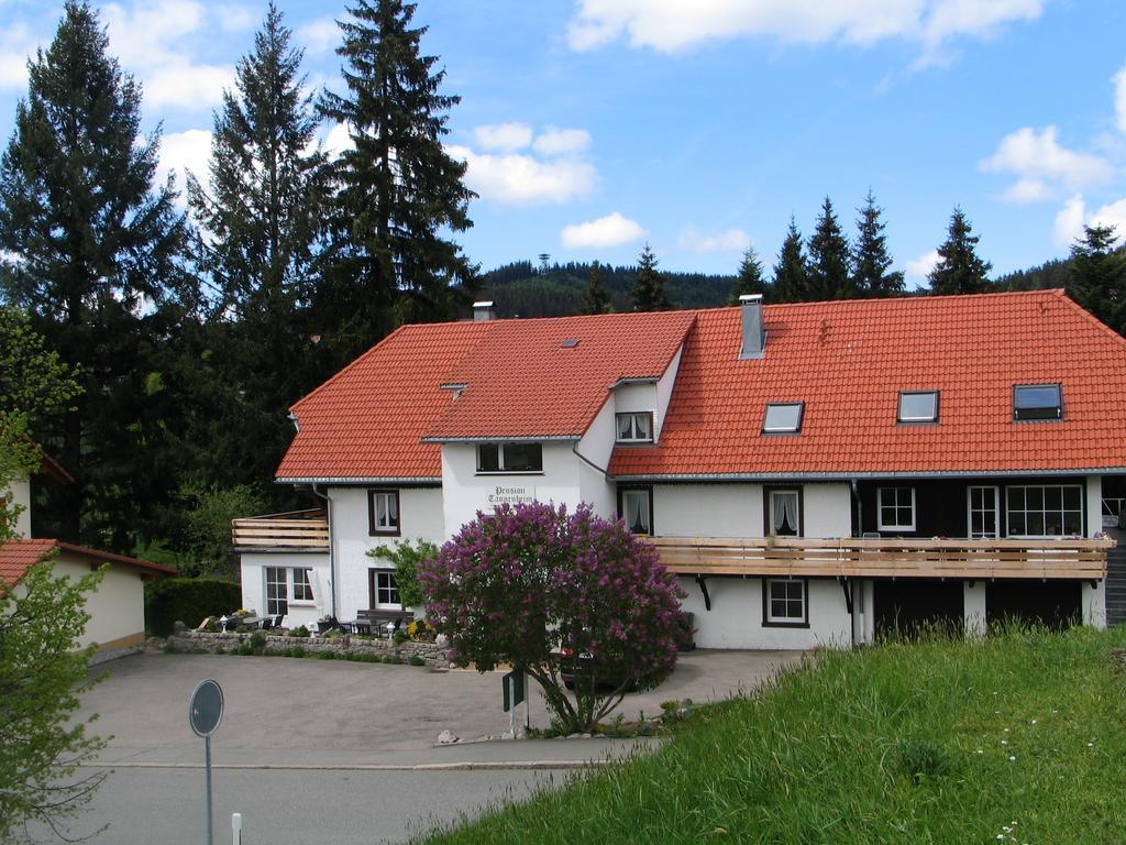 Pension Tannenheim Шлухзее Экстерьер фото