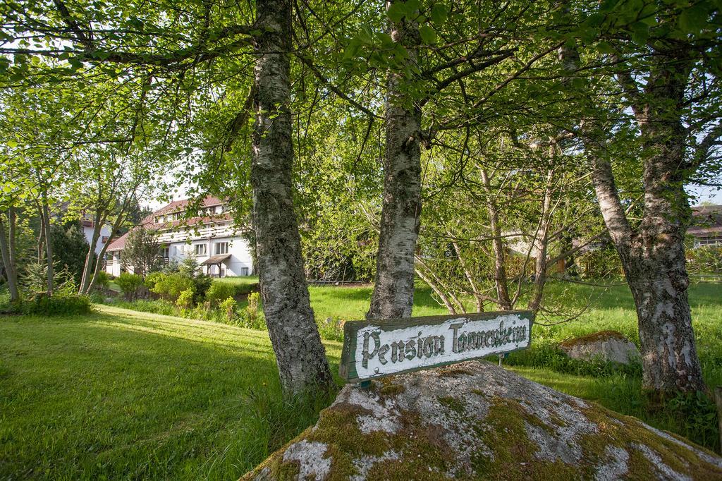 Pension Tannenheim Шлухзее Экстерьер фото