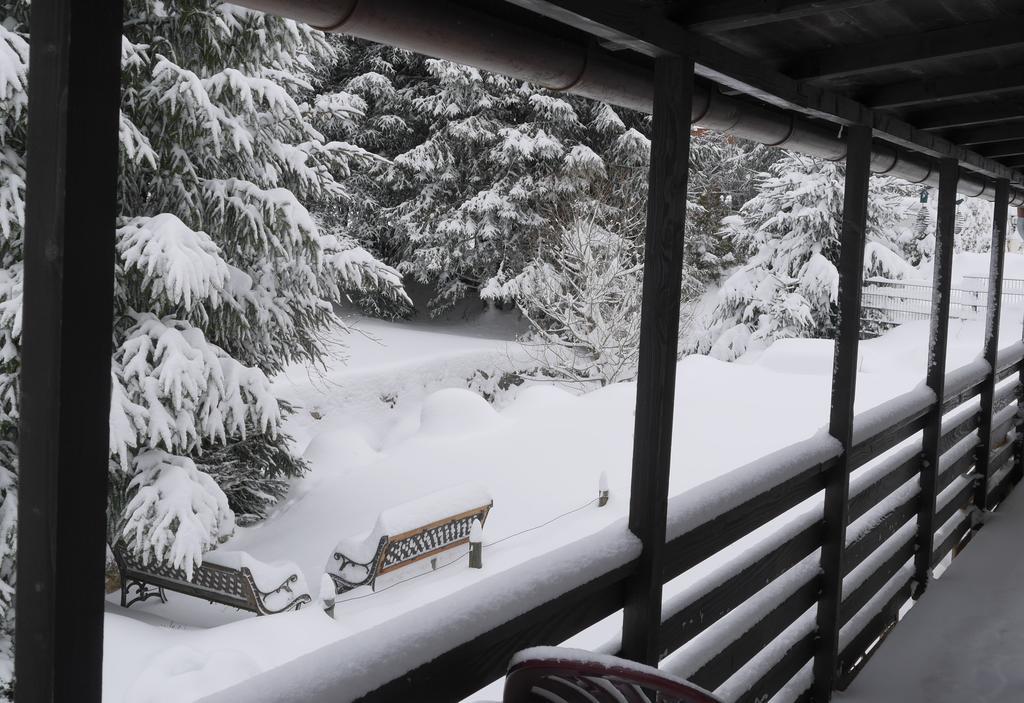 Pension Tannenheim Шлухзее Экстерьер фото