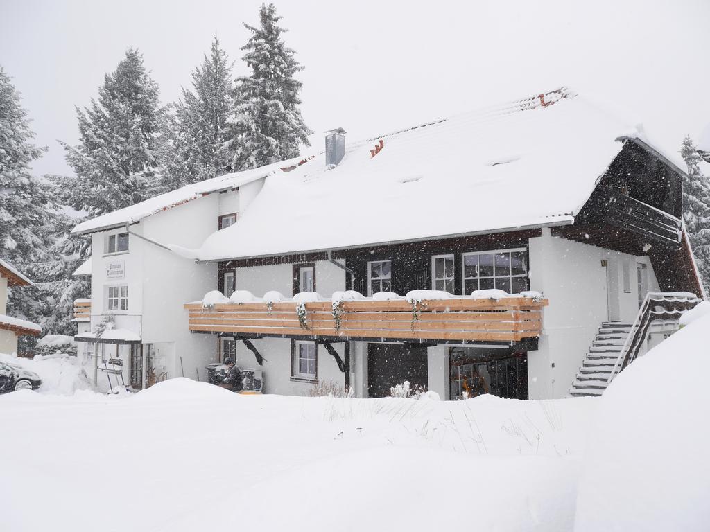 Pension Tannenheim Шлухзее Экстерьер фото