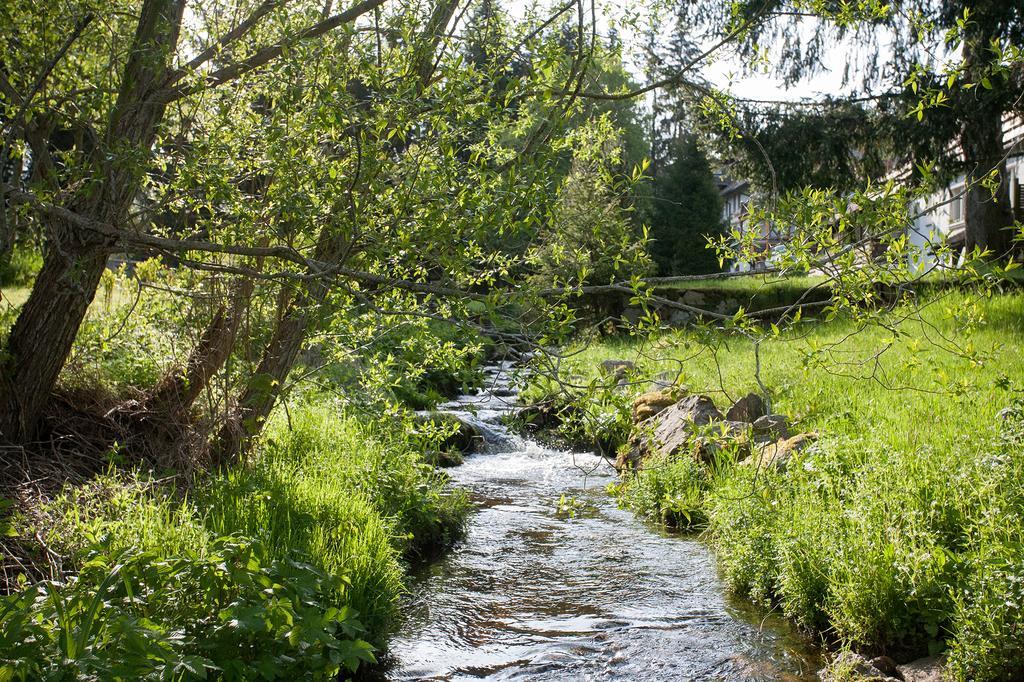 Pension Tannenheim Шлухзее Экстерьер фото